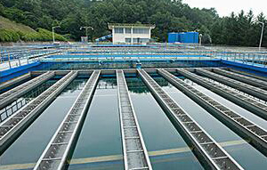 ��ȫ����